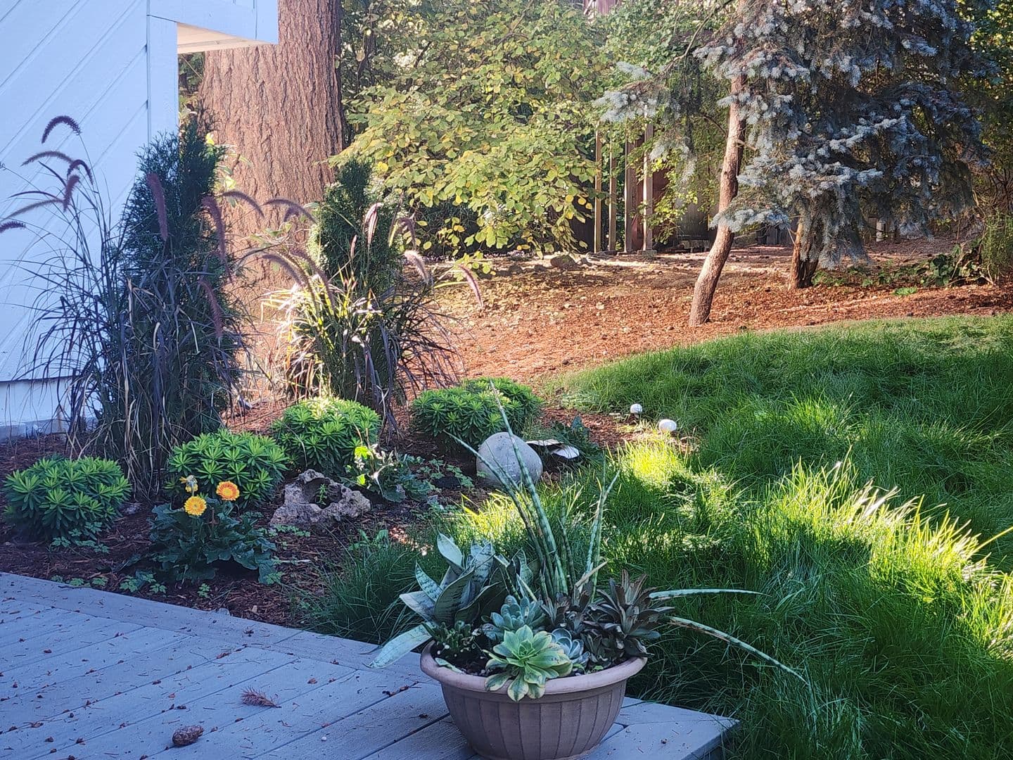 Tualatin House: 21104 SW Jameco Court