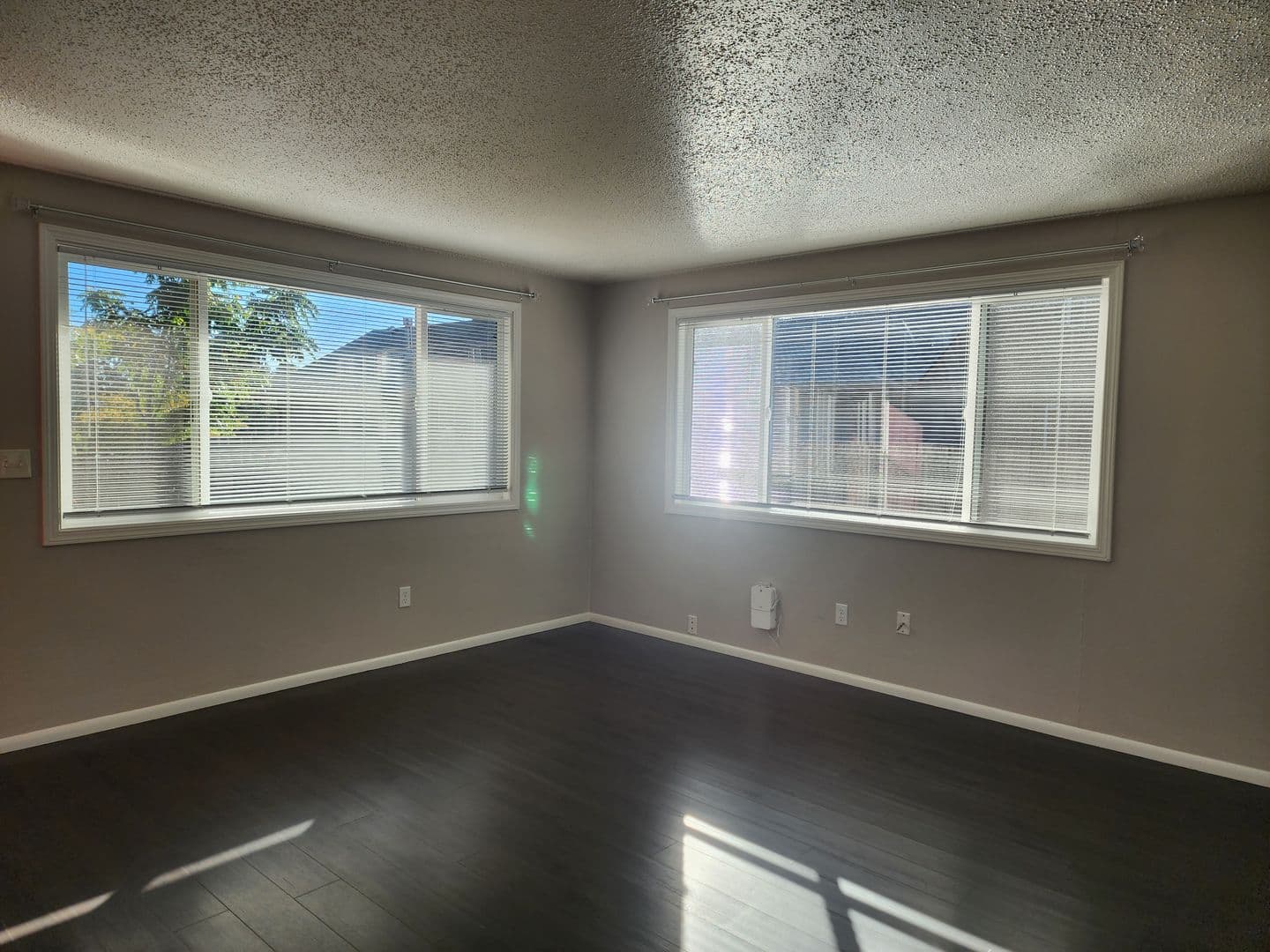 Dundee Apartment: Ione Street 4 Plex