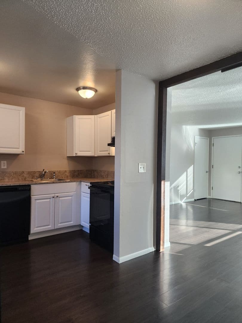 Dundee Apartment: Ione Street 4 Plex