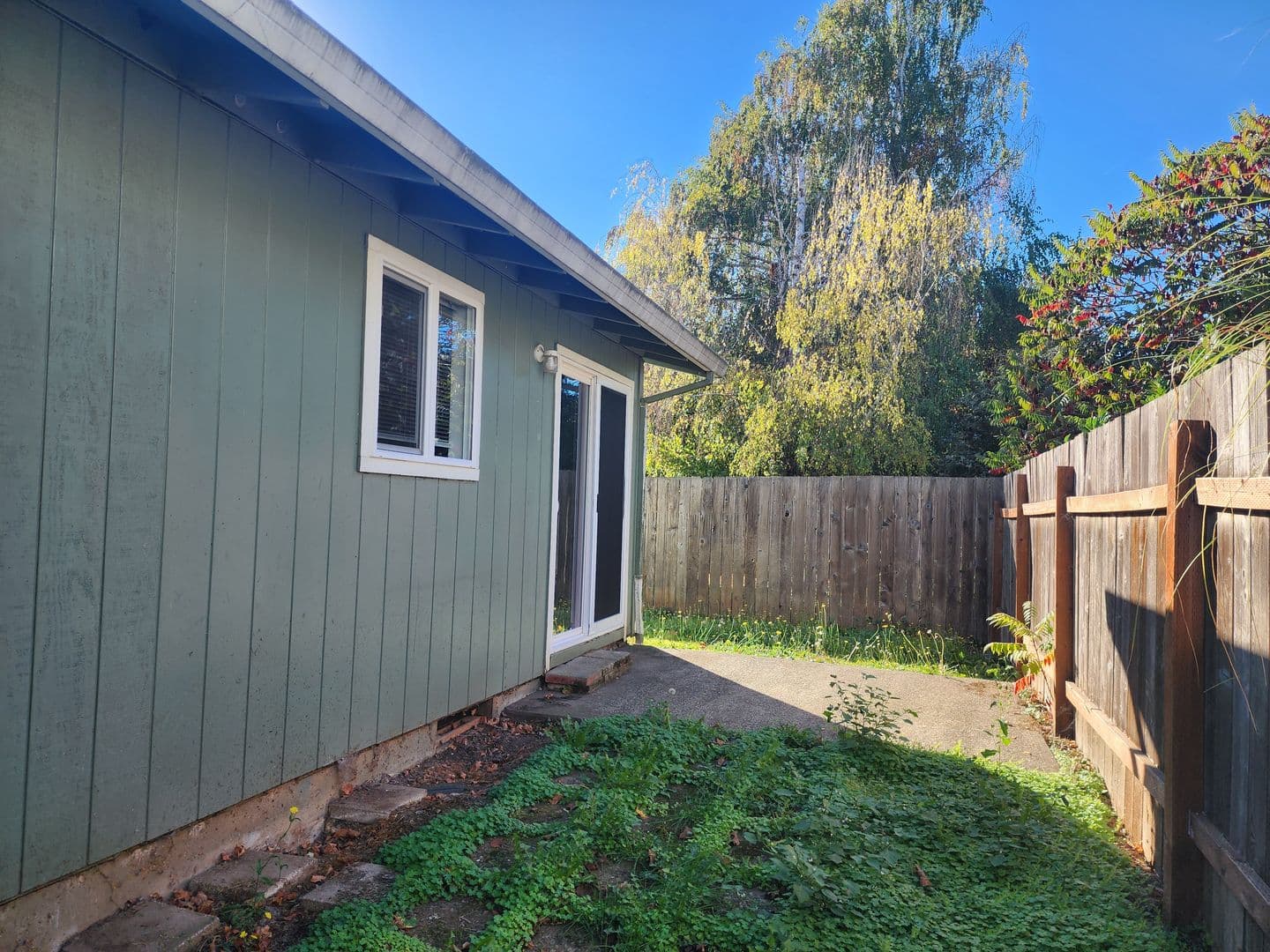Dundee Apartment: Ione Street 4 Plex