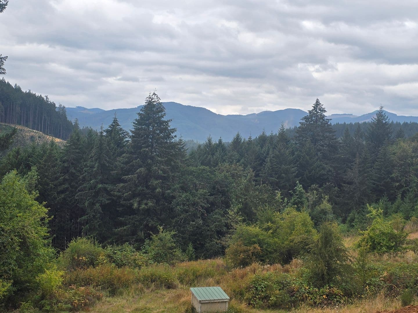 Yamhill House: 16100 NW Tupper Rd