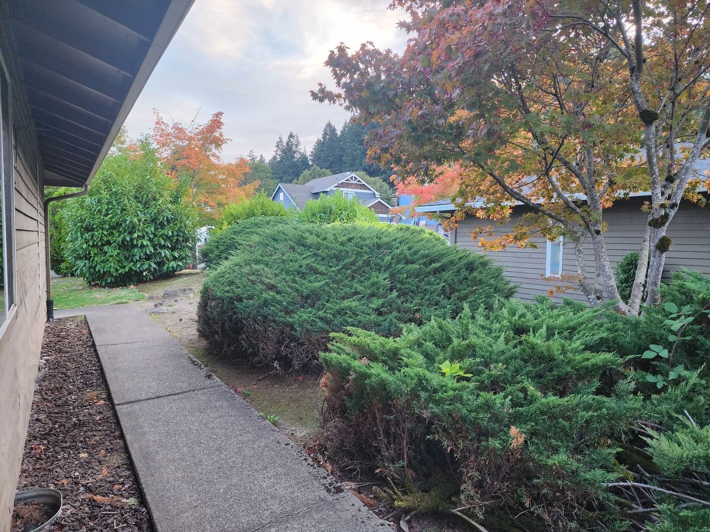 Wilsonville Multiplex: 10515 SW Tranquil Way