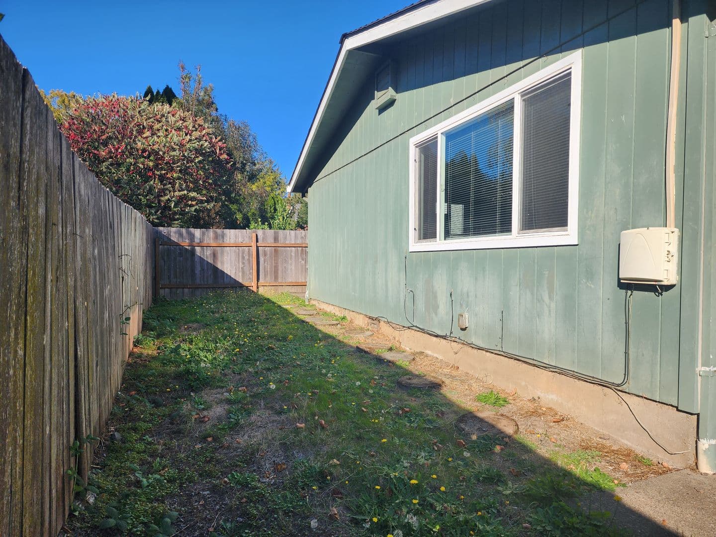 Dundee Apartment: Ione Street 4 Plex