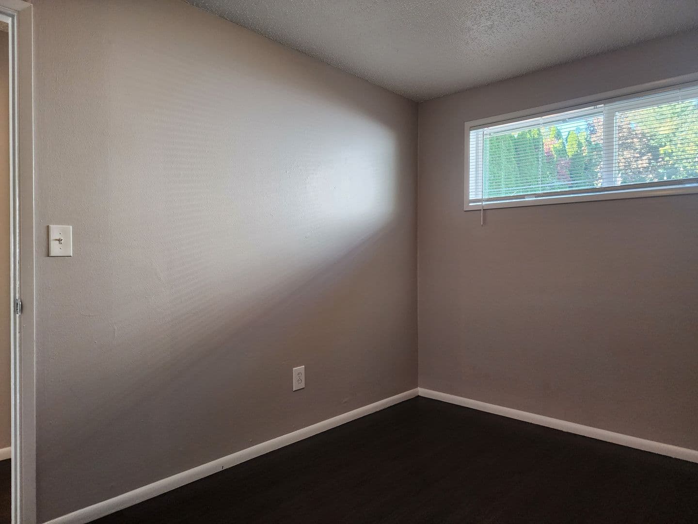 Dundee Apartment: Ione Street 4 Plex