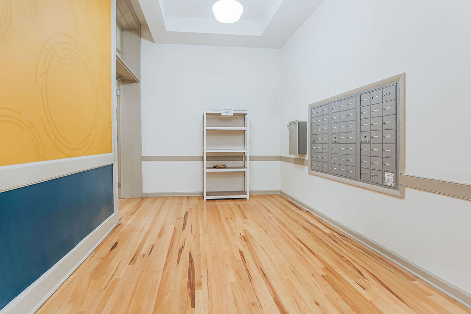 Wilson Apartment: 211 Kenan Street West