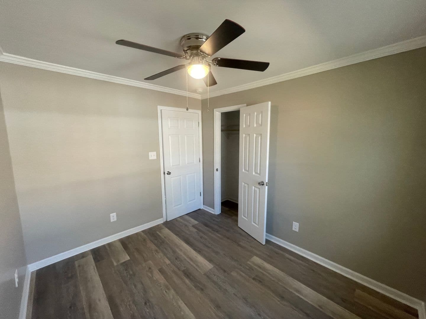 Wilson Apartment: 303 Freeman Street