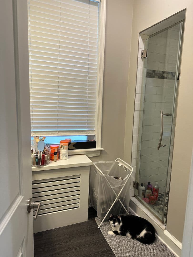 Philadelphia Apartment: 804 N. 16th Street