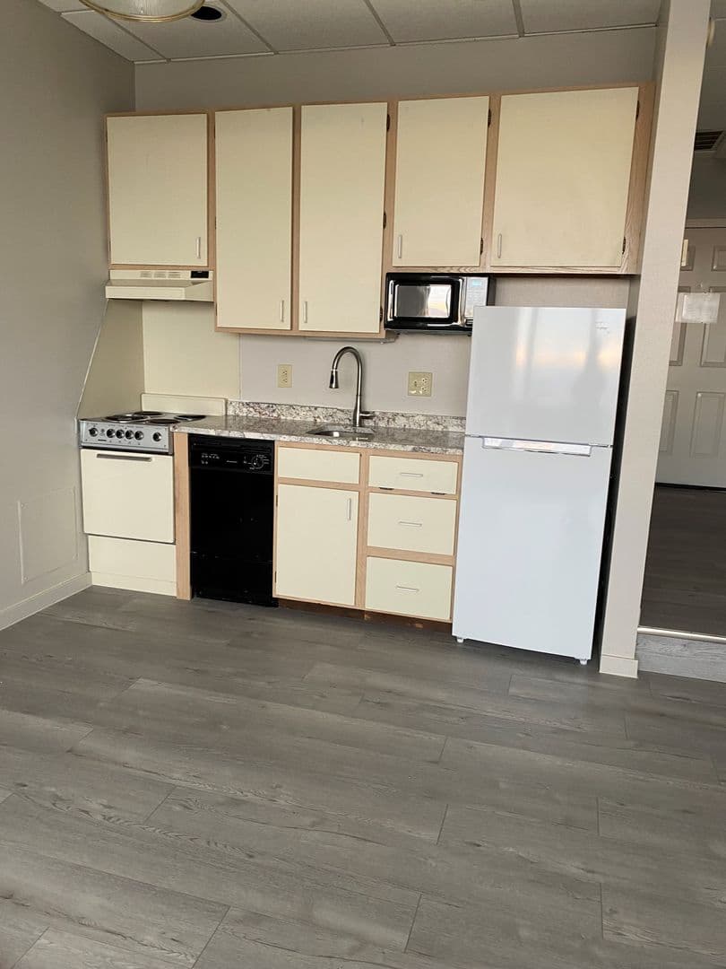 Minneapolis Apartment: 431 S 7th St