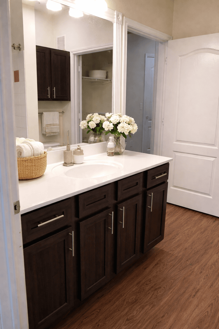 Austin Apartment: 501 E. Stassney Ln