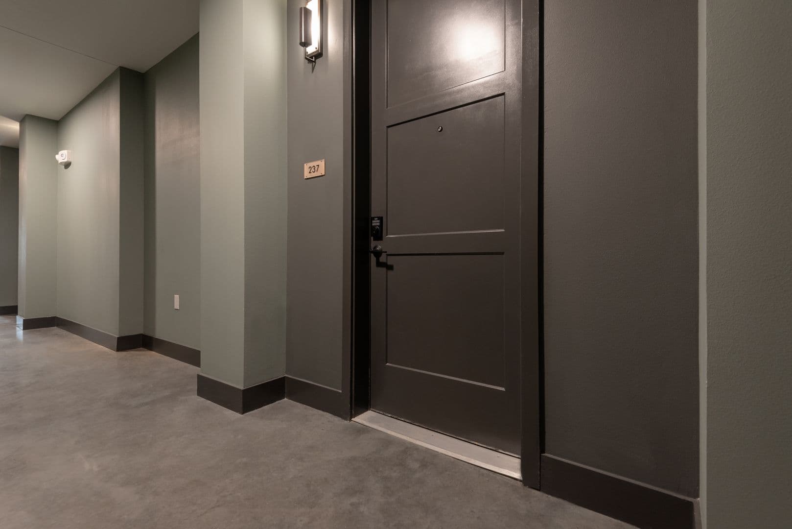 Austin Apartment: 3403 Harmon Ave