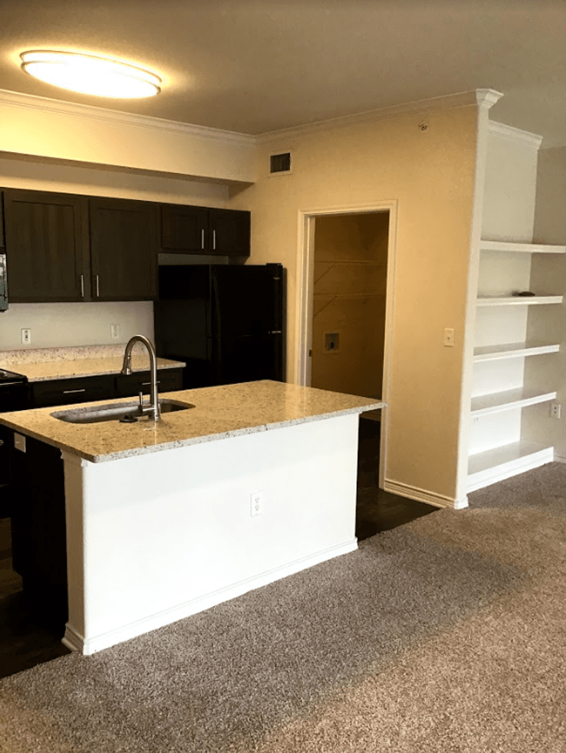Austin Apartment: 501 E. Stassney Ln