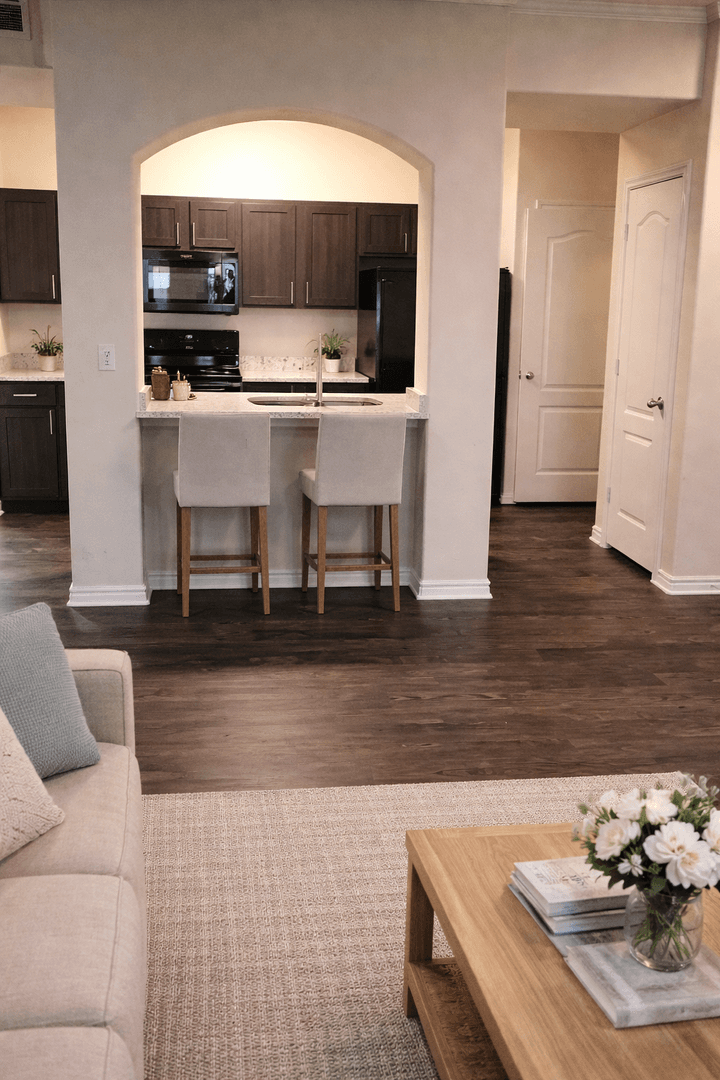 Austin Apartment: 501 E. Stassney Ln