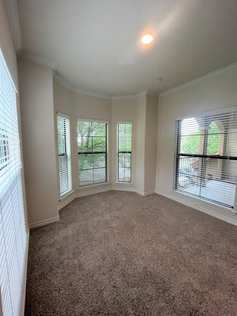 Austin Apartment: 501 E. Stassney Ln