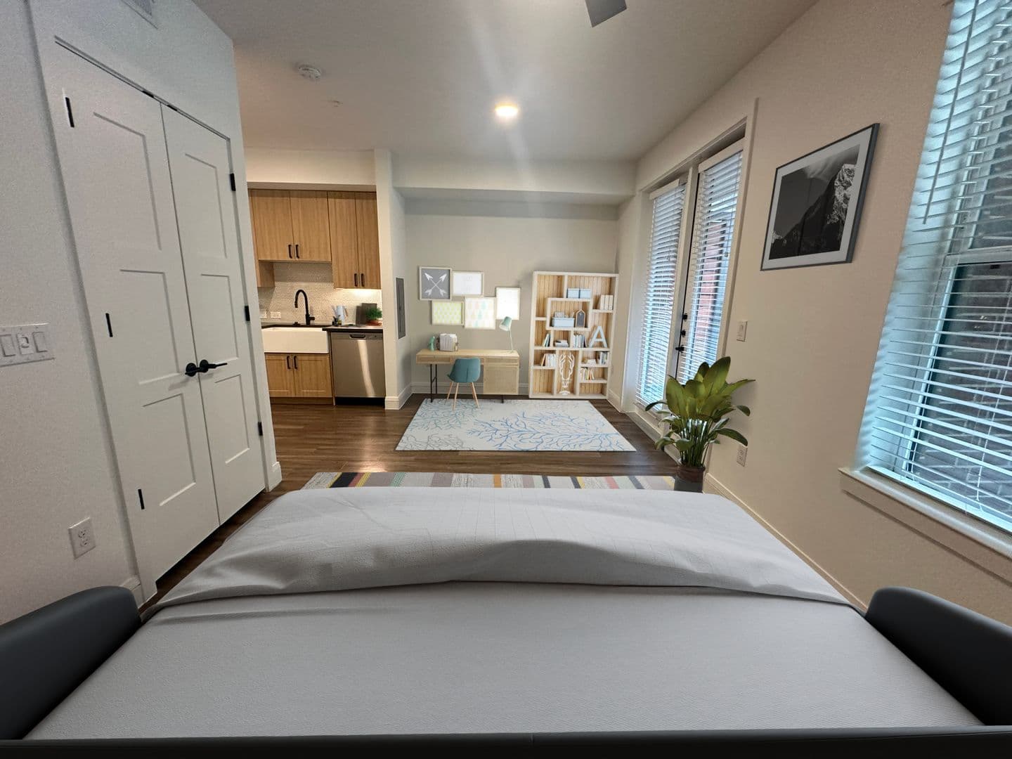 Austin Apartment: 3403 Harmon Ave