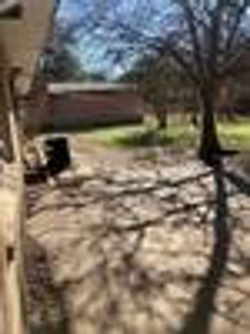 Waco House: 2408 Lake Air Dr