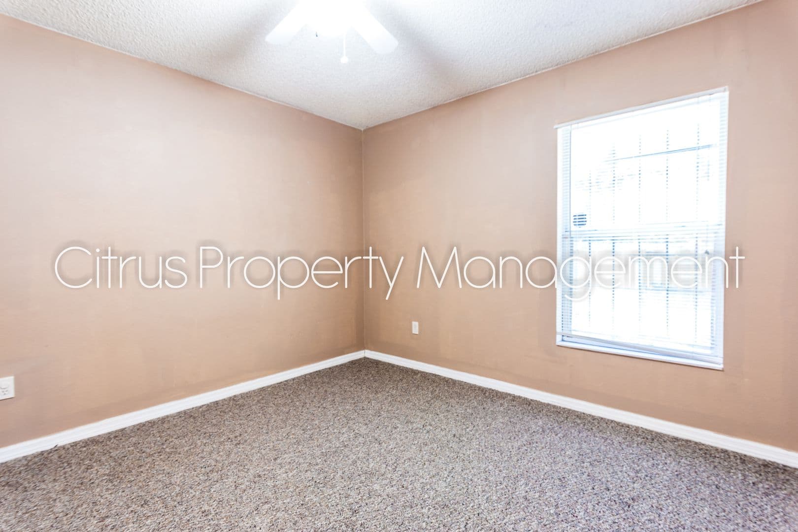 Orlando House: 5201 Yaupon Street