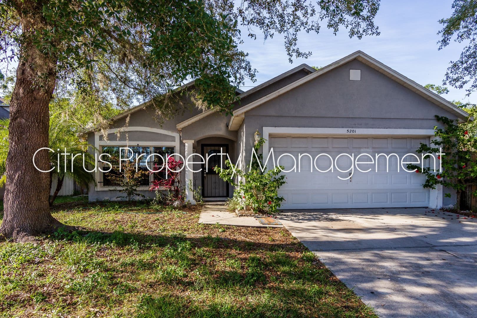 Orlando House: 5201 Yaupon Street