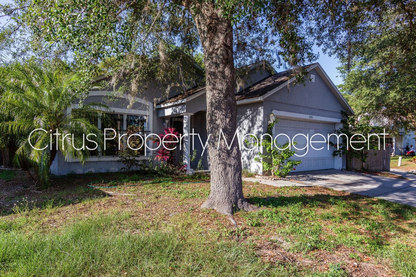 Orlando House: 5201 Yaupon Street