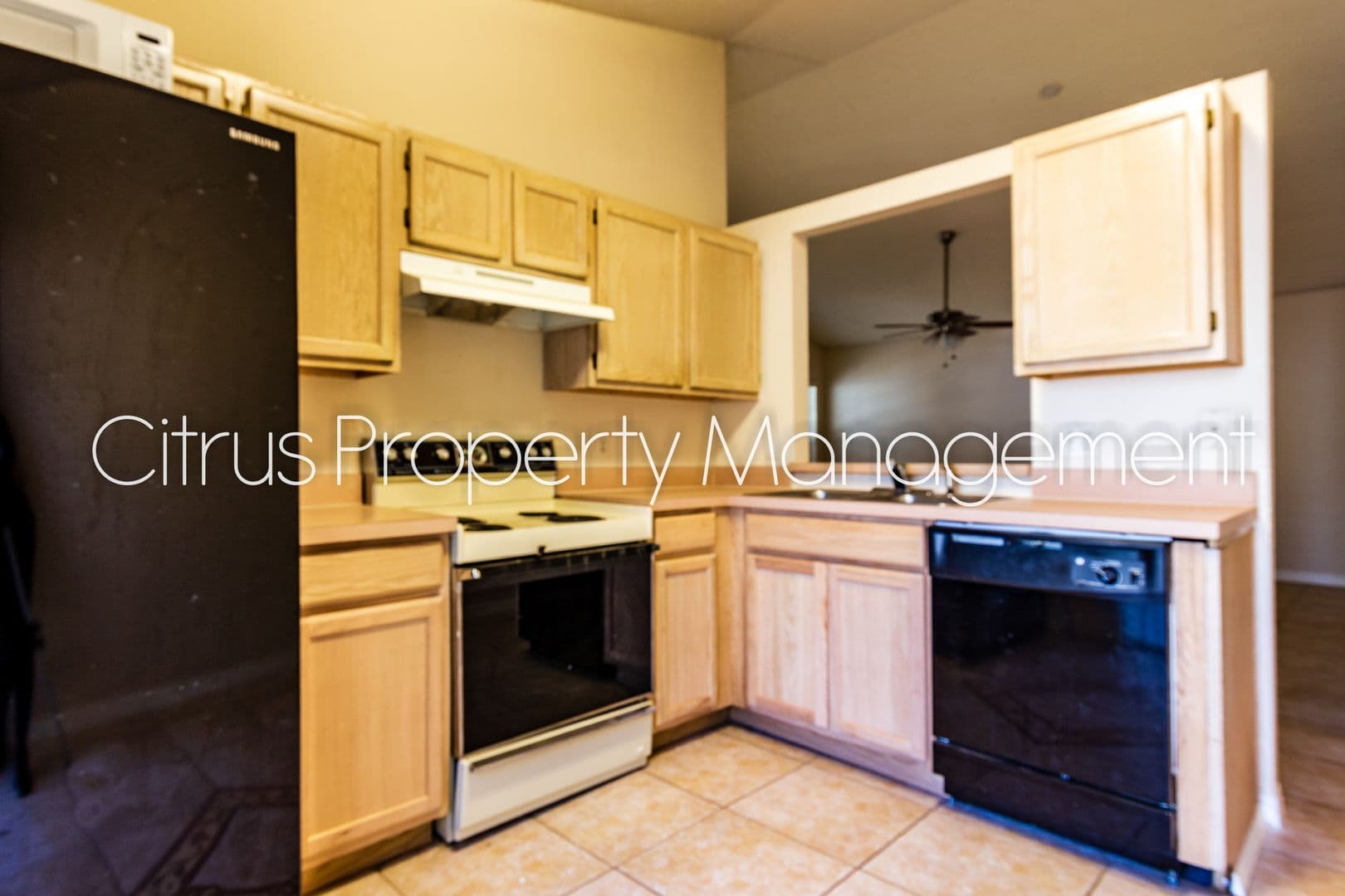 Orlando House: 5201 Yaupon Street