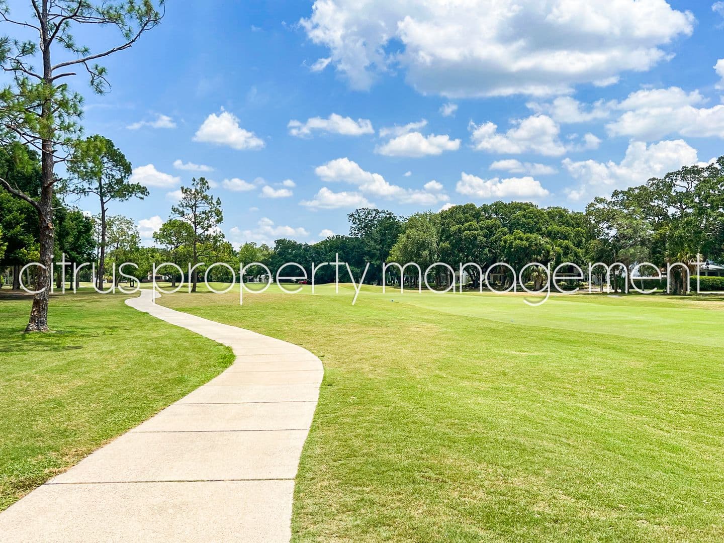 Orlando Apartment: 3026-C Fairway Lane
