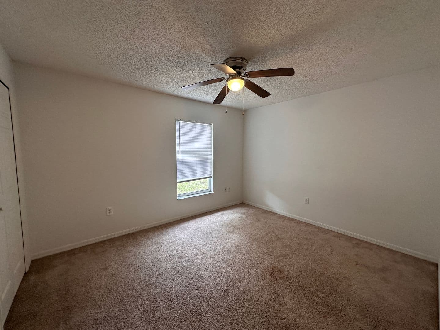 Palm Coast House: 33 Rybark Lane