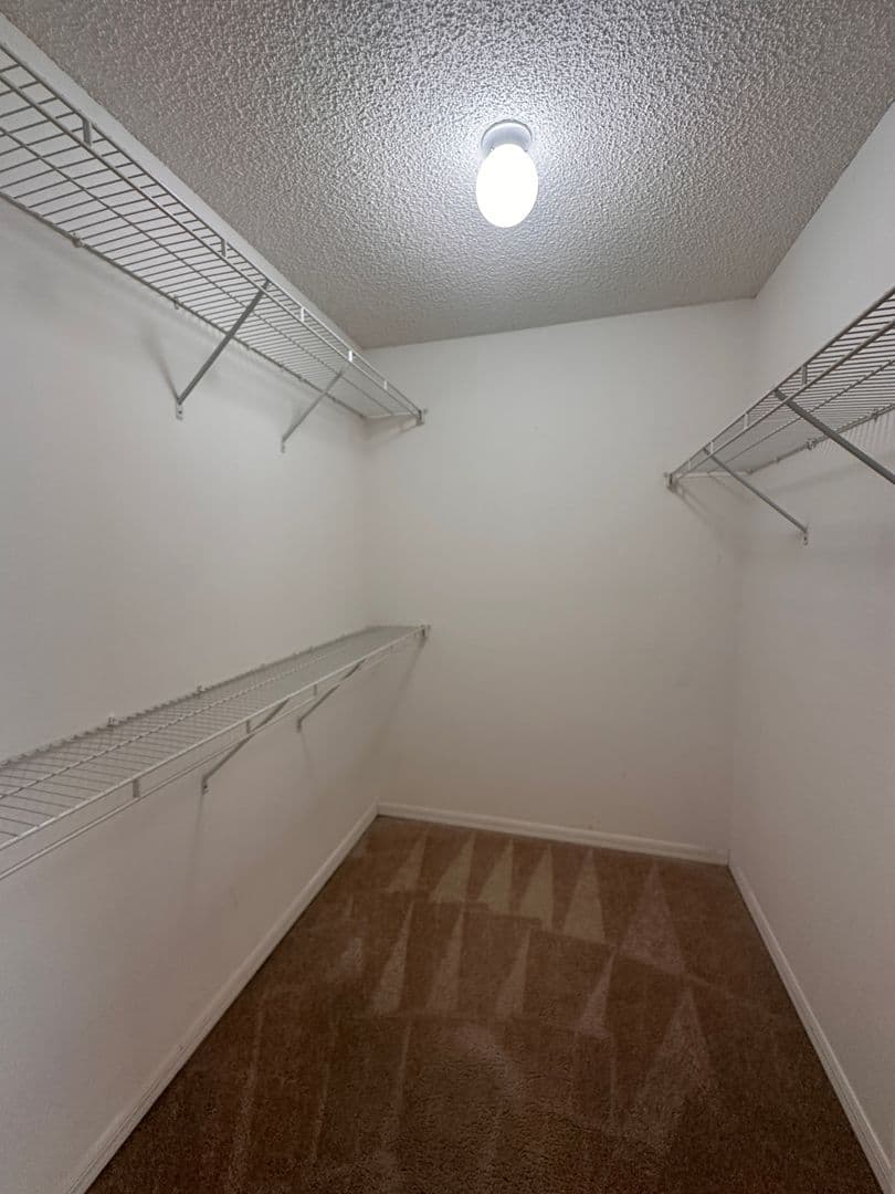 Palm Coast House: 33 Rybark Lane