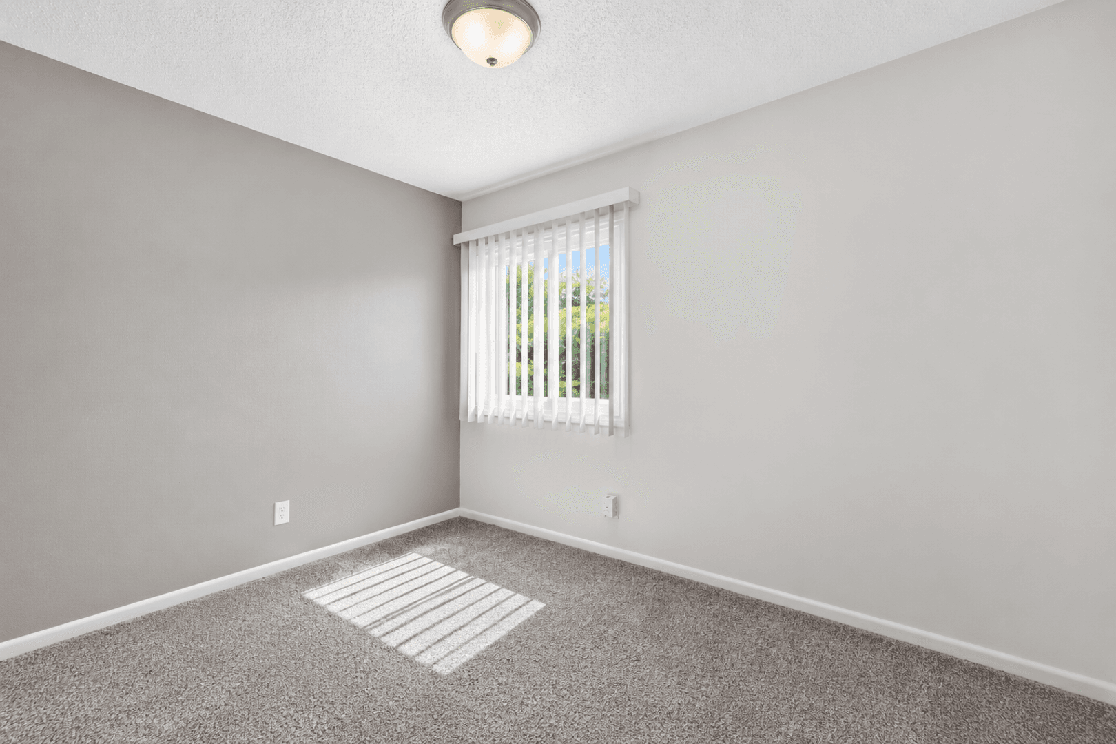 Waterloo Apartment: 3805-3807 West 4th Street