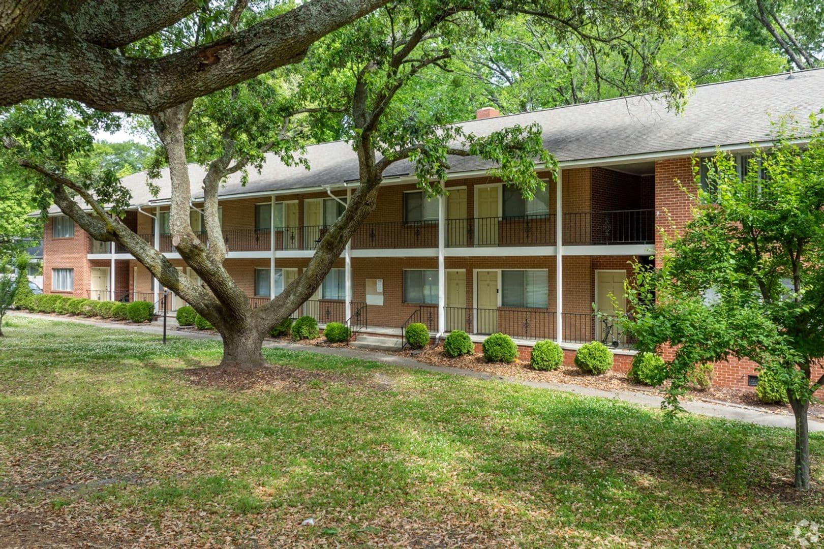 Greenville Apartment: 208 S Elm St