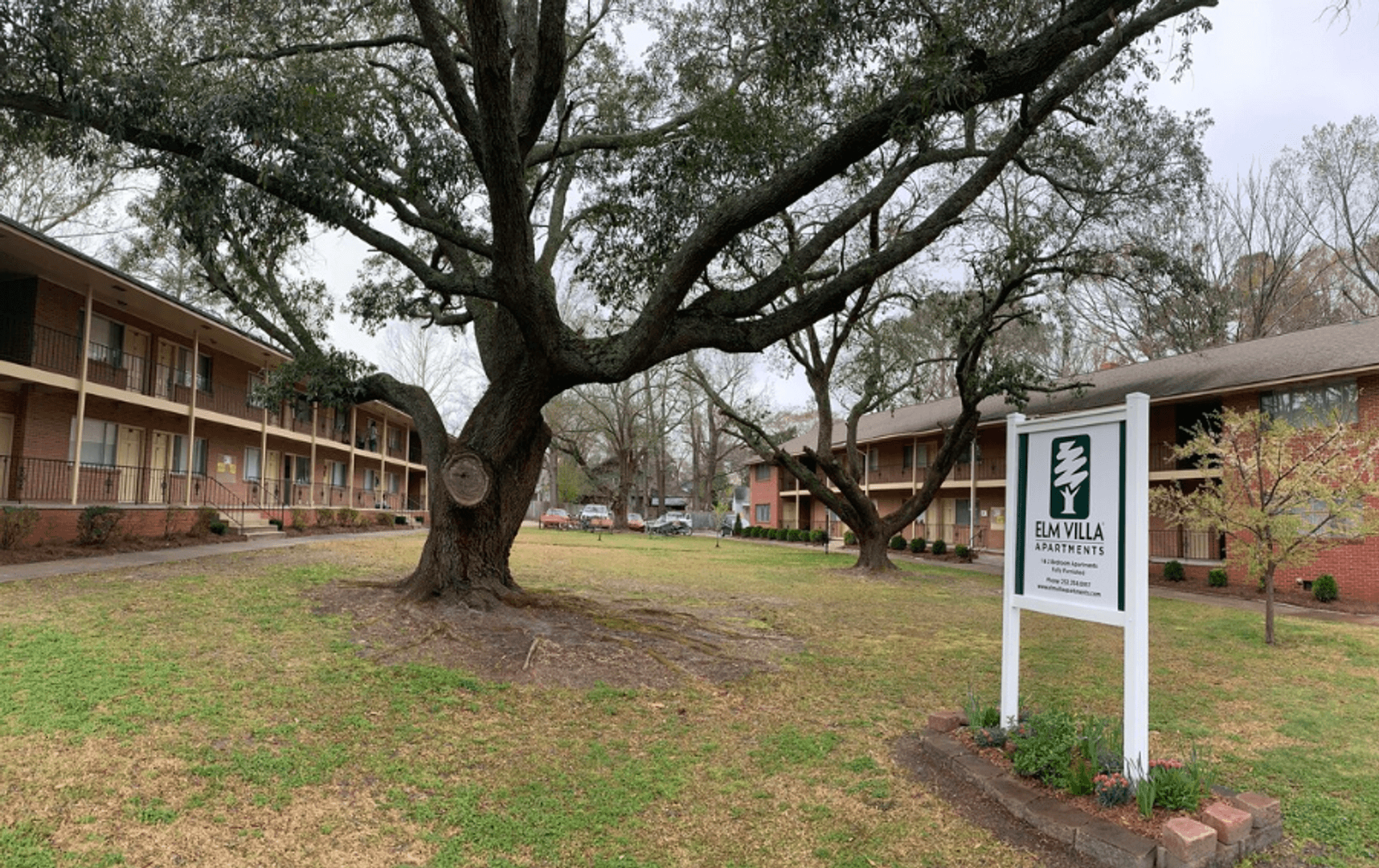 Greenville Apartment: 208 S Elm St