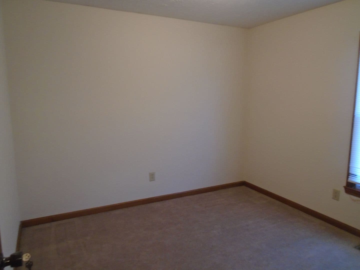Fayetteville House: 921 Glen Reilly Dr.