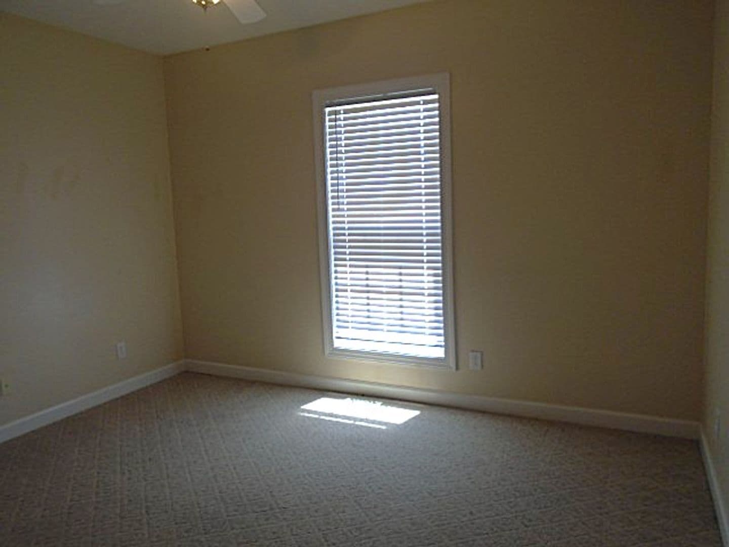 Fayetteville House: 3604 Talus Rd