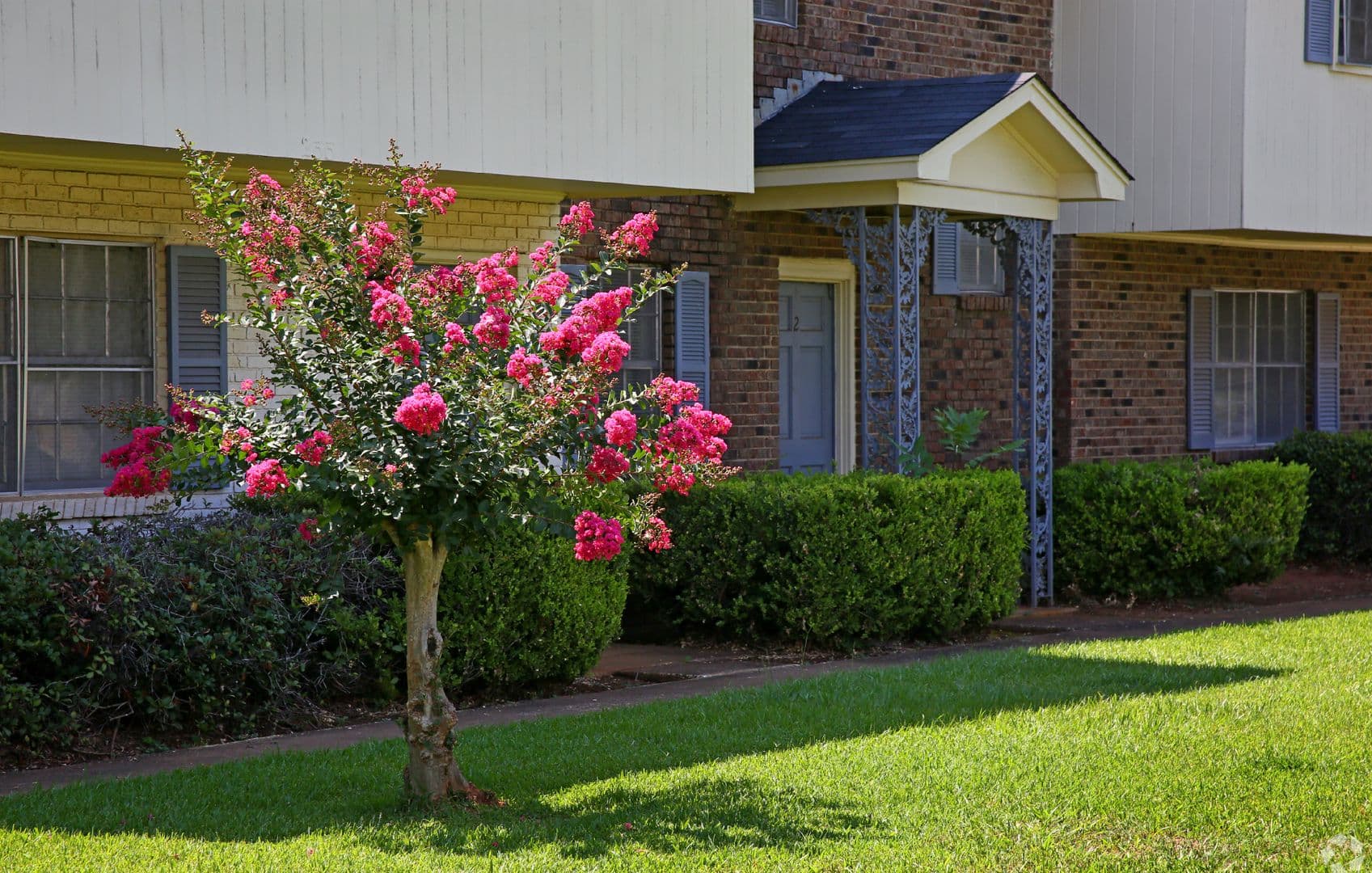 Albany Apartment: 2337 Sharon Drive