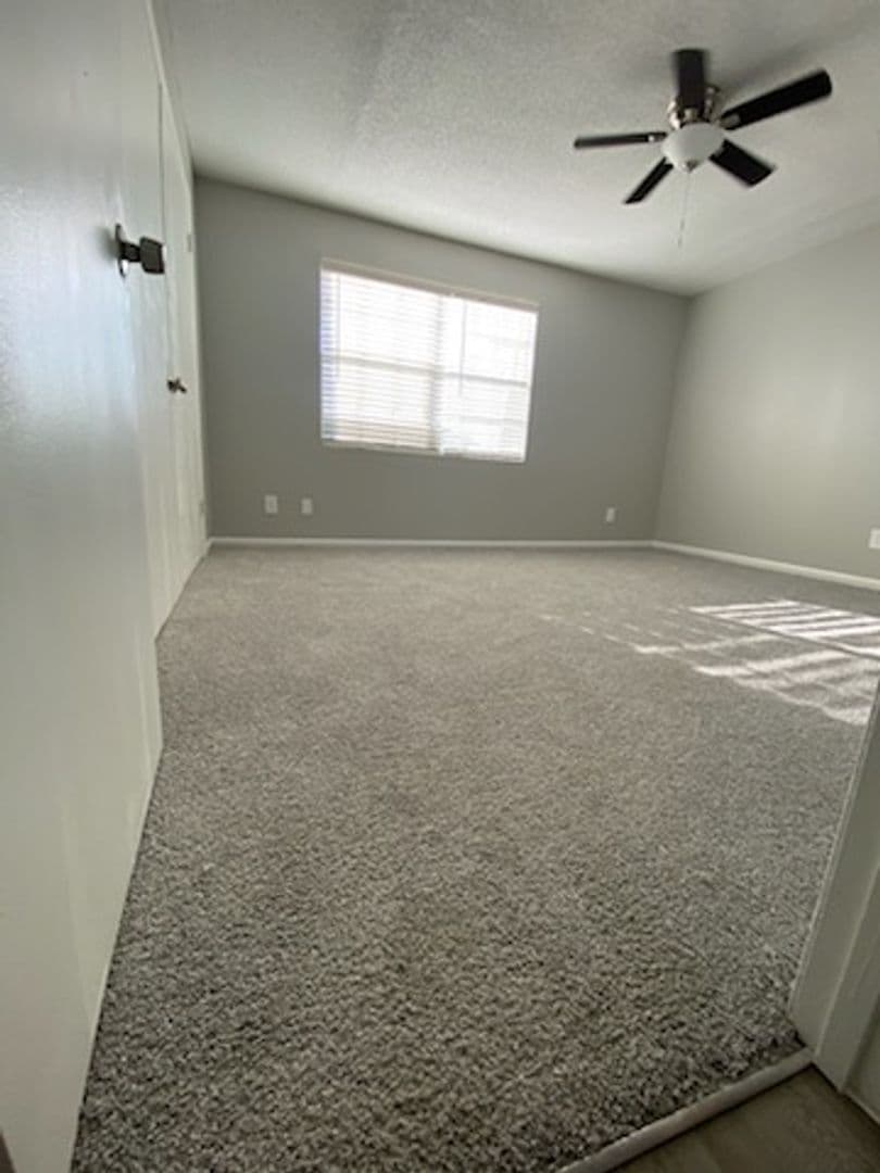 Albany Apartment: 2401 Nottingham Way