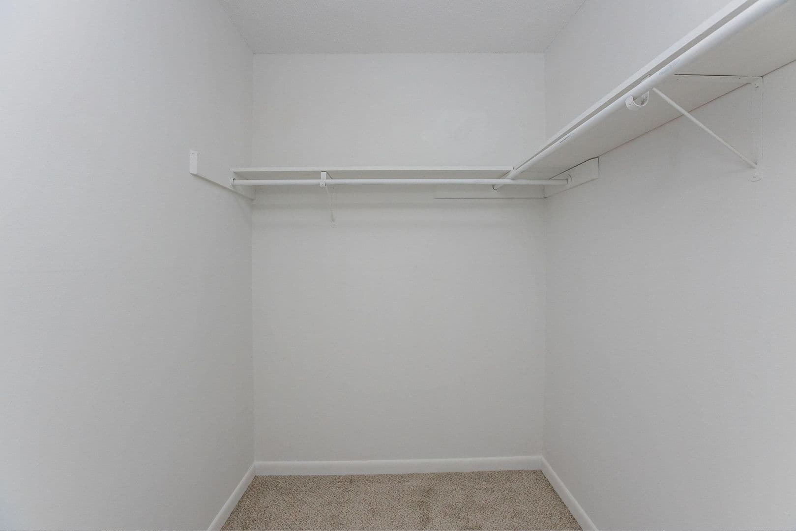 Albany Apartment: 2507 Nottingham Way
