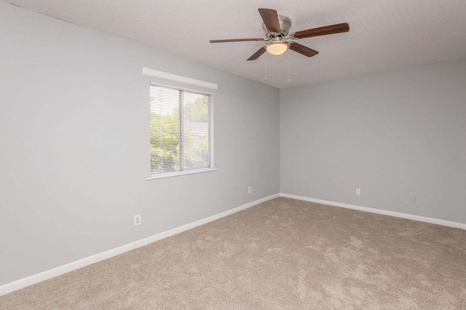 Albany Apartment: 2507 Nottingham Way