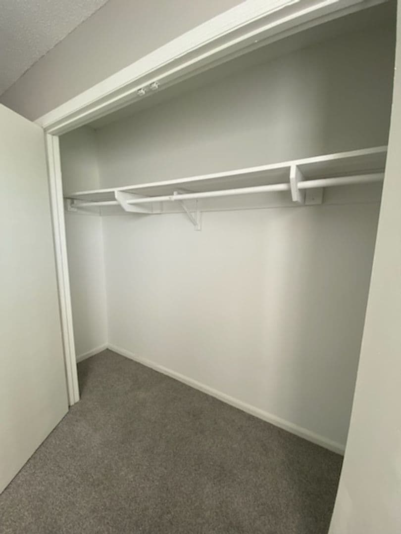 Albany Apartment: 2401 Nottingham Way