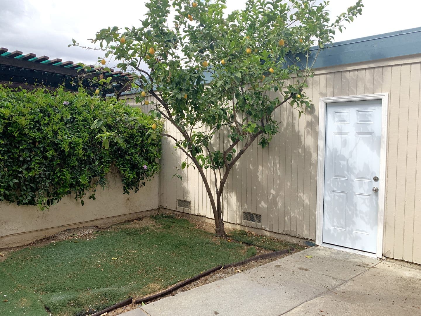 Montclair House: 9836 Snowmass Drive