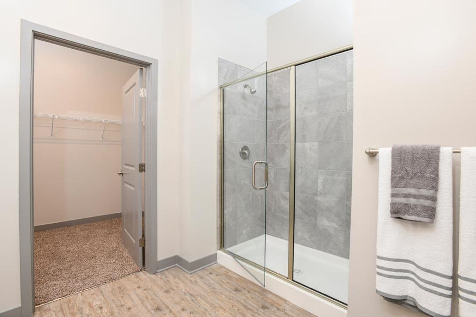 Hamilton Apartment: 115 Dayton Street