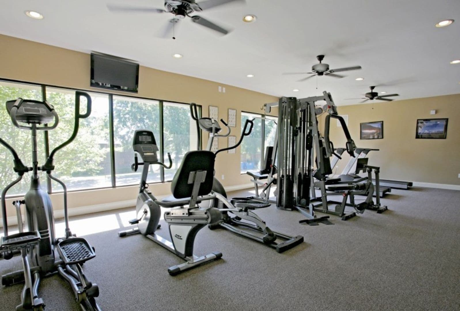 Columbia Apartment: 820 Old Manor Road