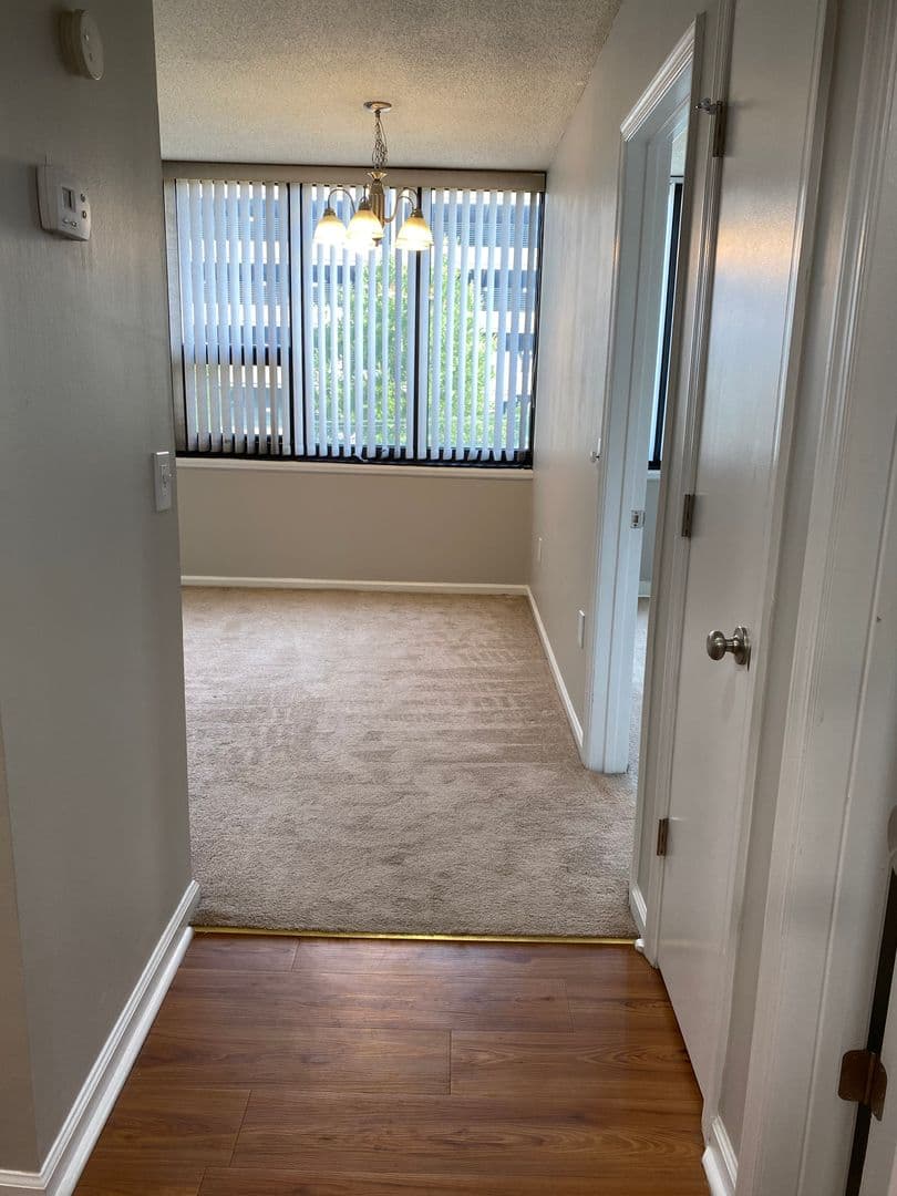 Columbia Apartment: 1100 Wheat Street 410