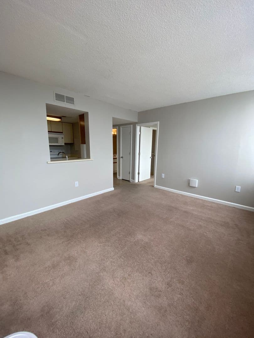Columbia Apartment: 1100 Wheat Street 503