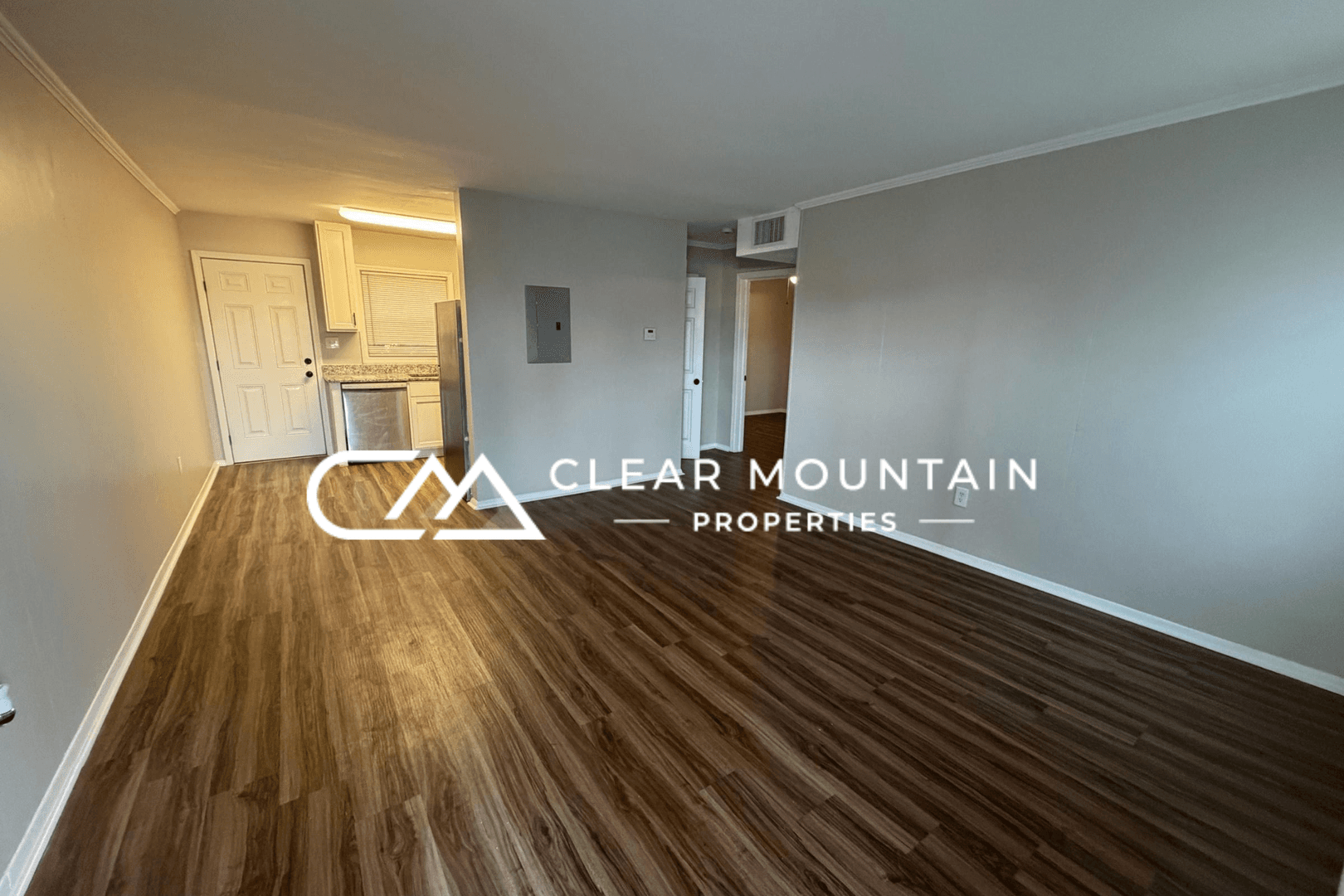 Greenville Apartment: 412 Hagood St