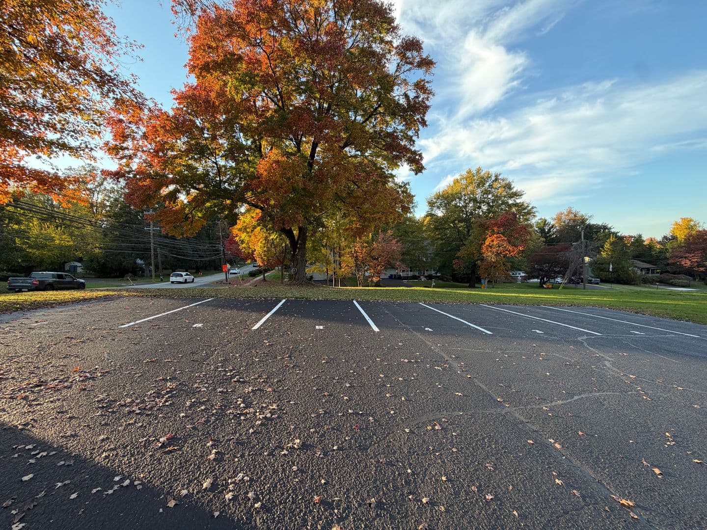 Feasterville Trevose Apartment: 216 E Bristol Rd