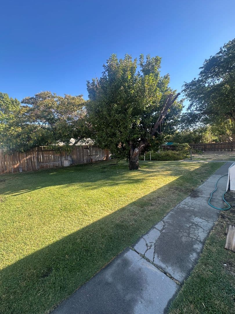 Big Pine House: 202 Terrace Dr.