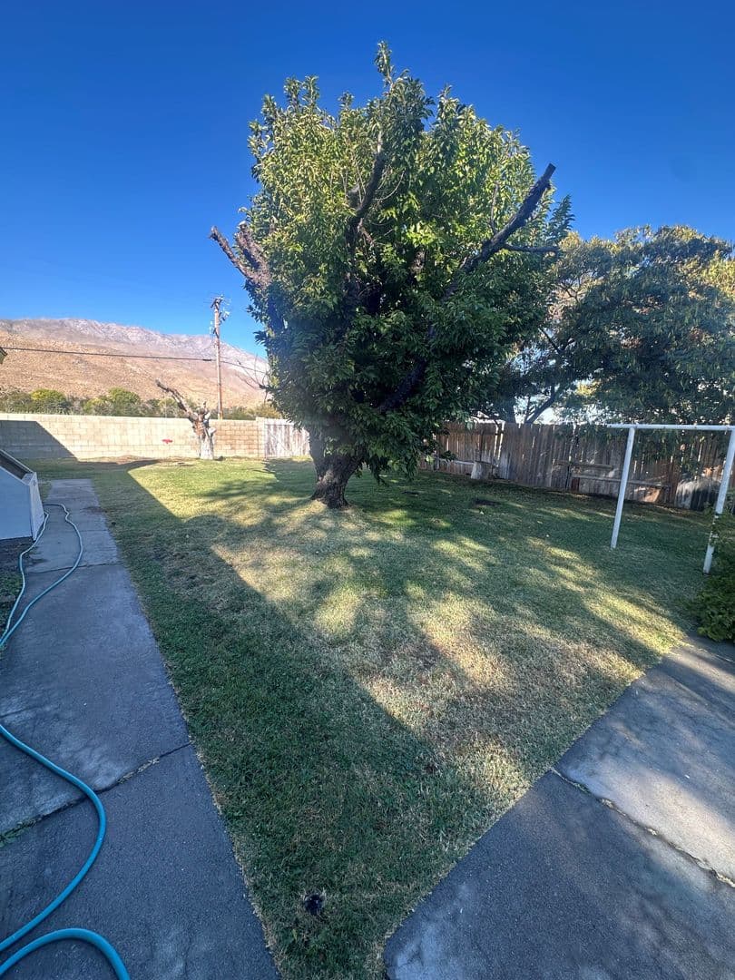 Big Pine House: 202 Terrace Dr.