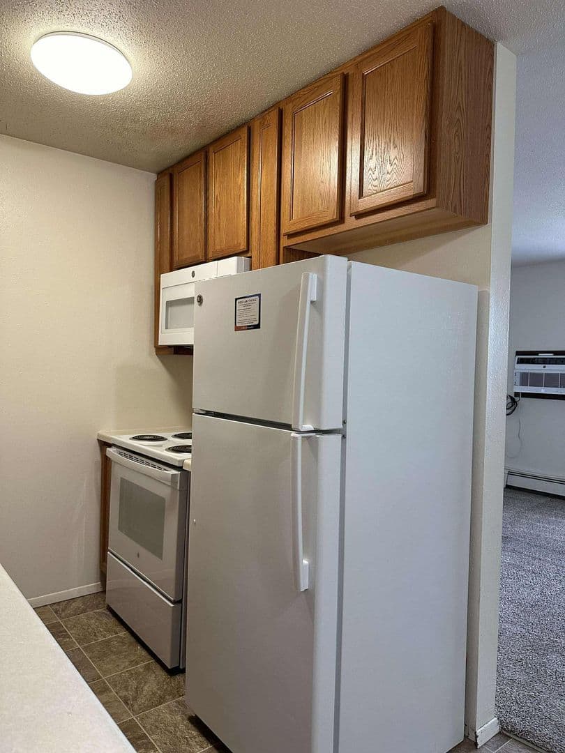 Fargo Apartment: 1010 16th St N