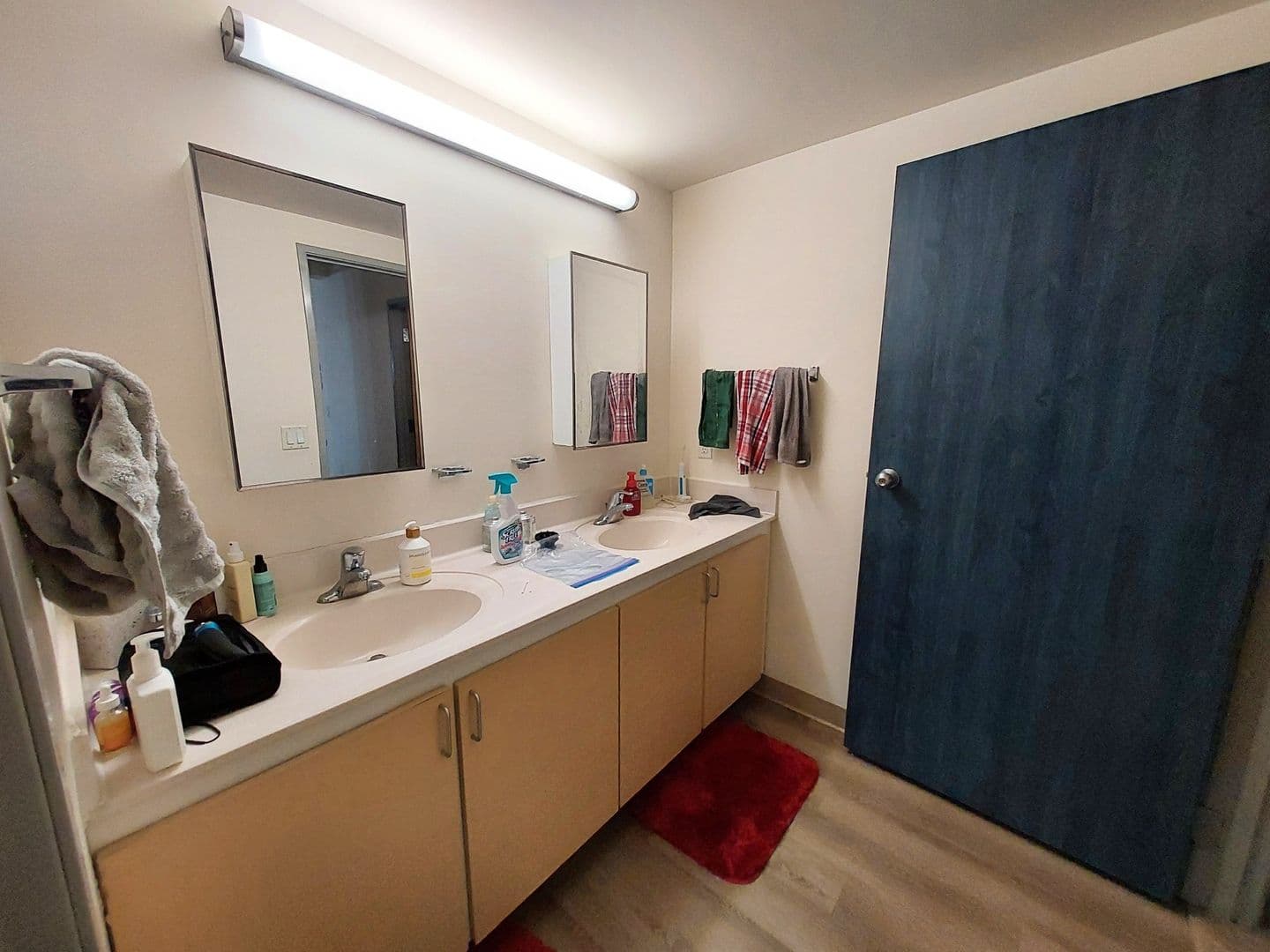 Madison Apartment: 45 N Randall Avenue