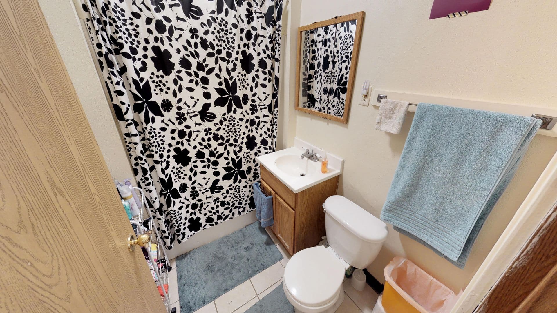 Madison Apartment: 107 N Randall Avenue