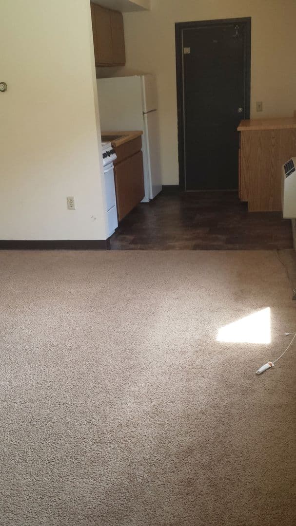 Madison Apartment: 1115 Spring Street