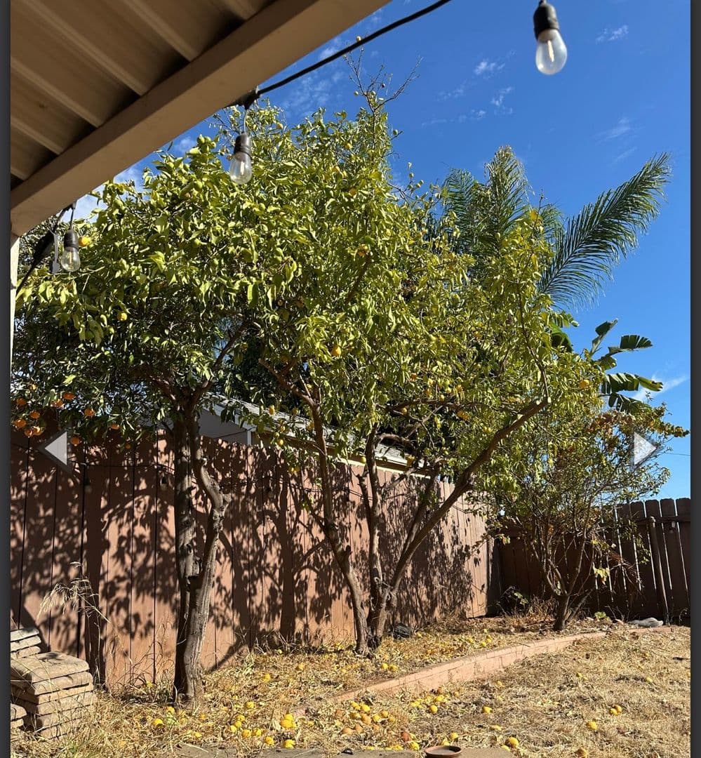 El Cajon House: 565 Pepper Drive